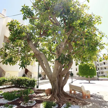 La Felicidad Apartment